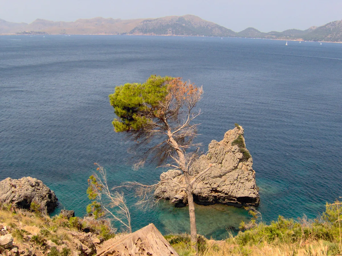 Sant Pere Beach, Alcúdia, Balearic Islands, Spain — 5