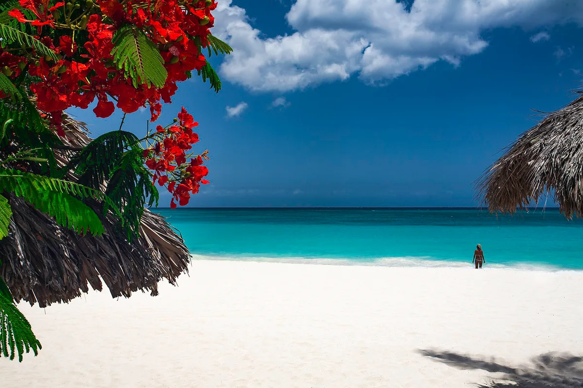 Druif Beach, Oranjestad, Lesser Antilles, Aruba