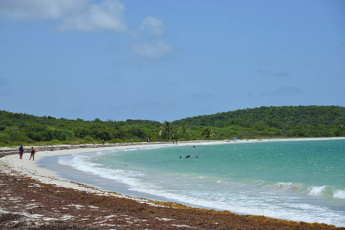 La Chiva Beach, Isabel Segunda, Greater Antilles, Puerto Rico — 3