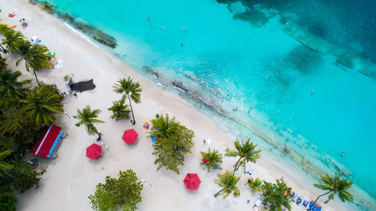 Anse Figuier Beach, Rivière-Pilote, Martinique, France — 5