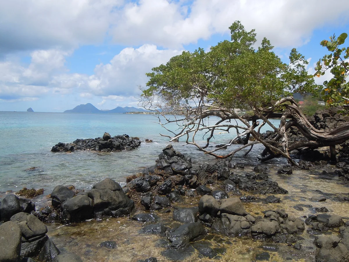 Anse Figuier Beach, Rivière-Pilote, Martinique, France — 6