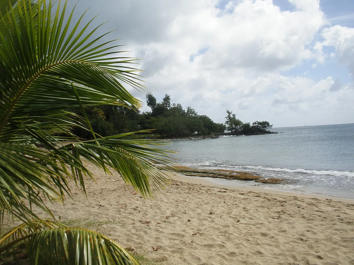 Anse Figuier Beach, Rivière-Pilote, Martinique, France — 3