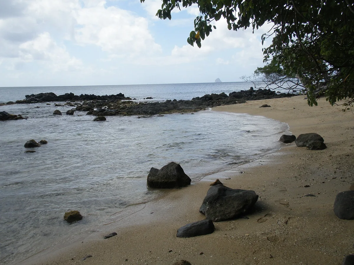 Anse Figuier Beach, Rivière-Pilote, Martinique, France — 2