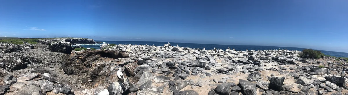 Punta Suárez Beach, Española, Galápagos, Ecuador — 2