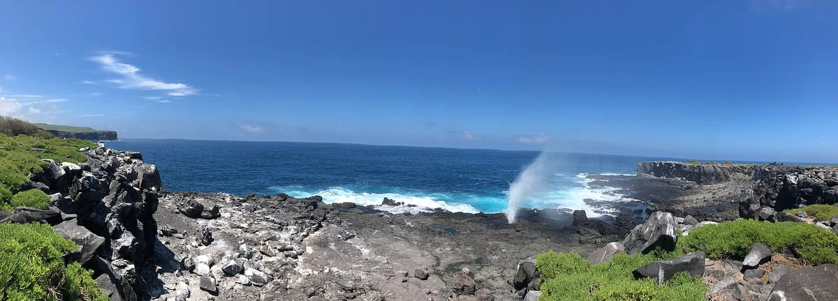 Punta Suárez Beach, Española, Galápagos, Ecuador — 5