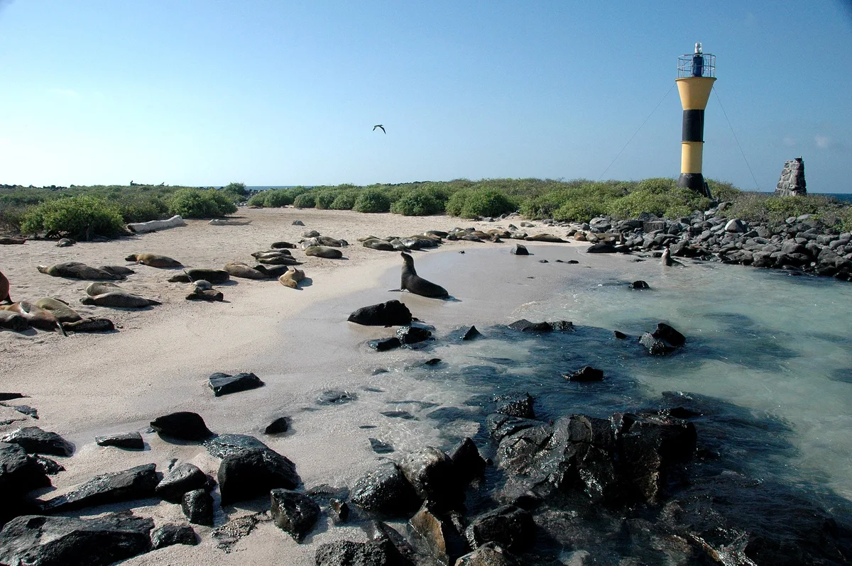 Punta Suárez Beach, Española, Galápagos, Ecuador