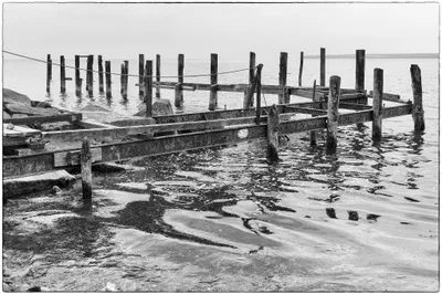 Vitt Beach