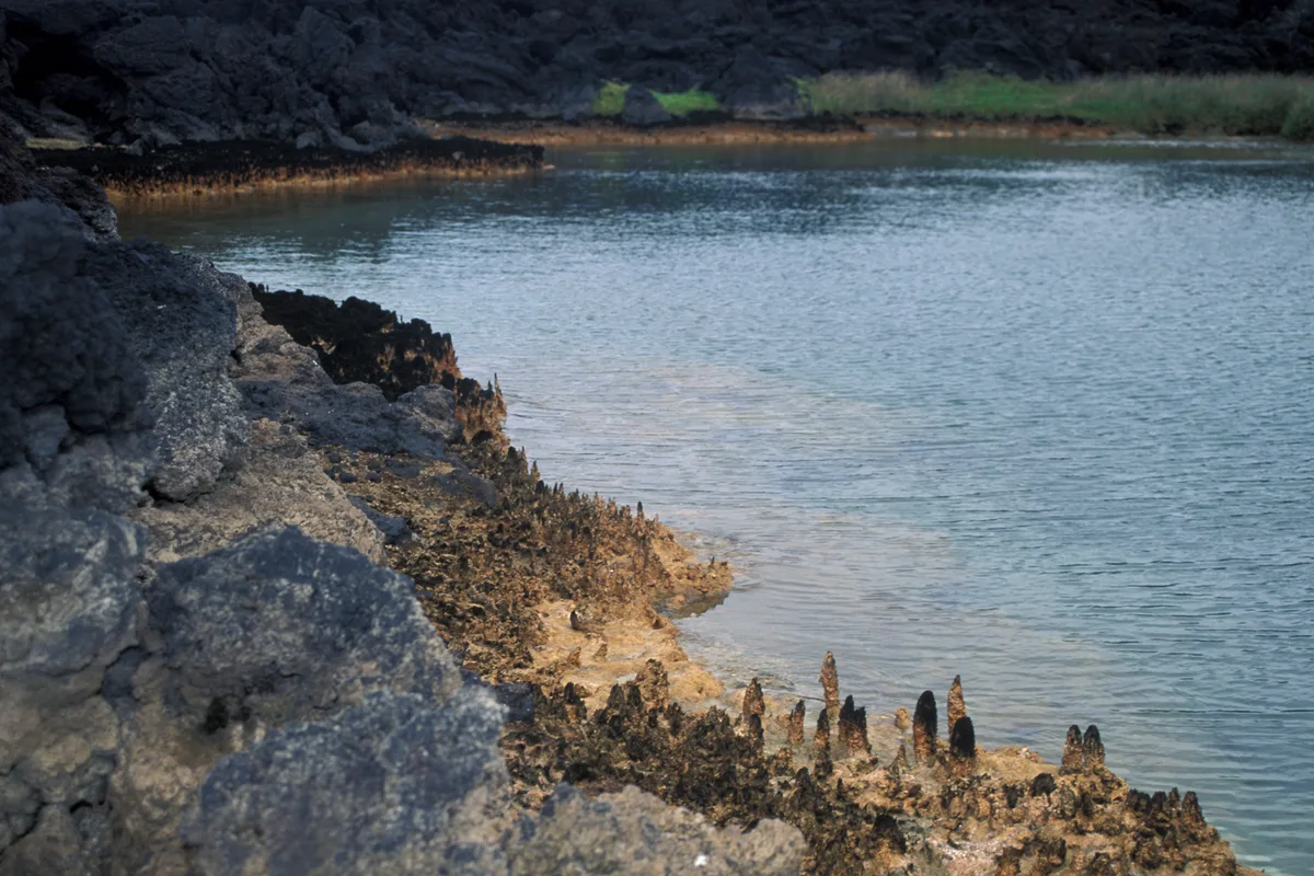 ʻĀhihi Beach, Kalawao, Hawaii, Estados Unidos — 3