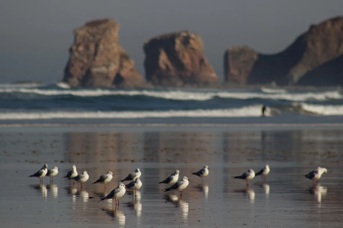 Hendaye Beach, Hendaye, Nouvelle-Aquitaine, France — 2