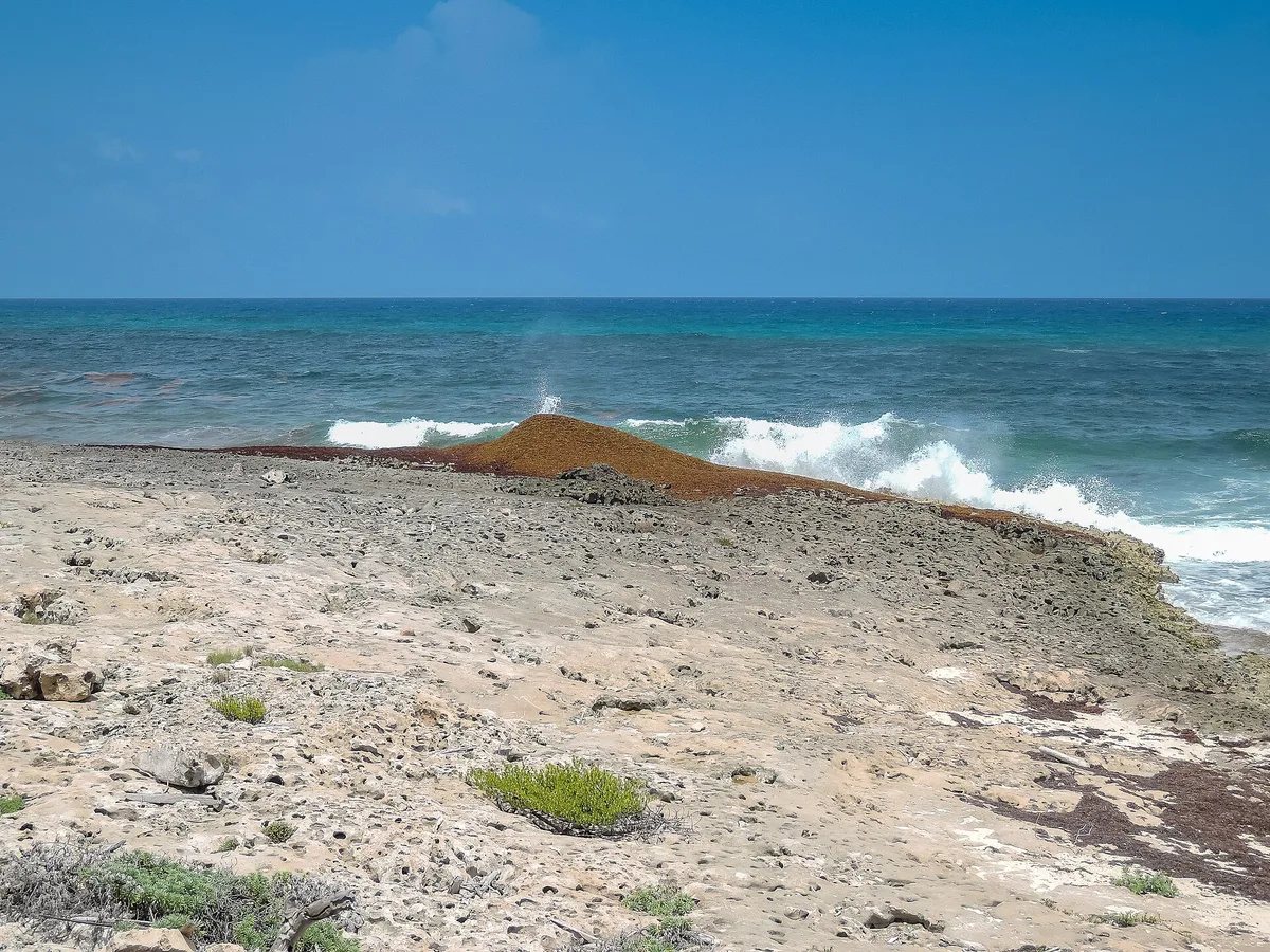 Plage de Punta Chiqueros, San Miguel de Cozumel, Yucatan Islands, Mexique — 4