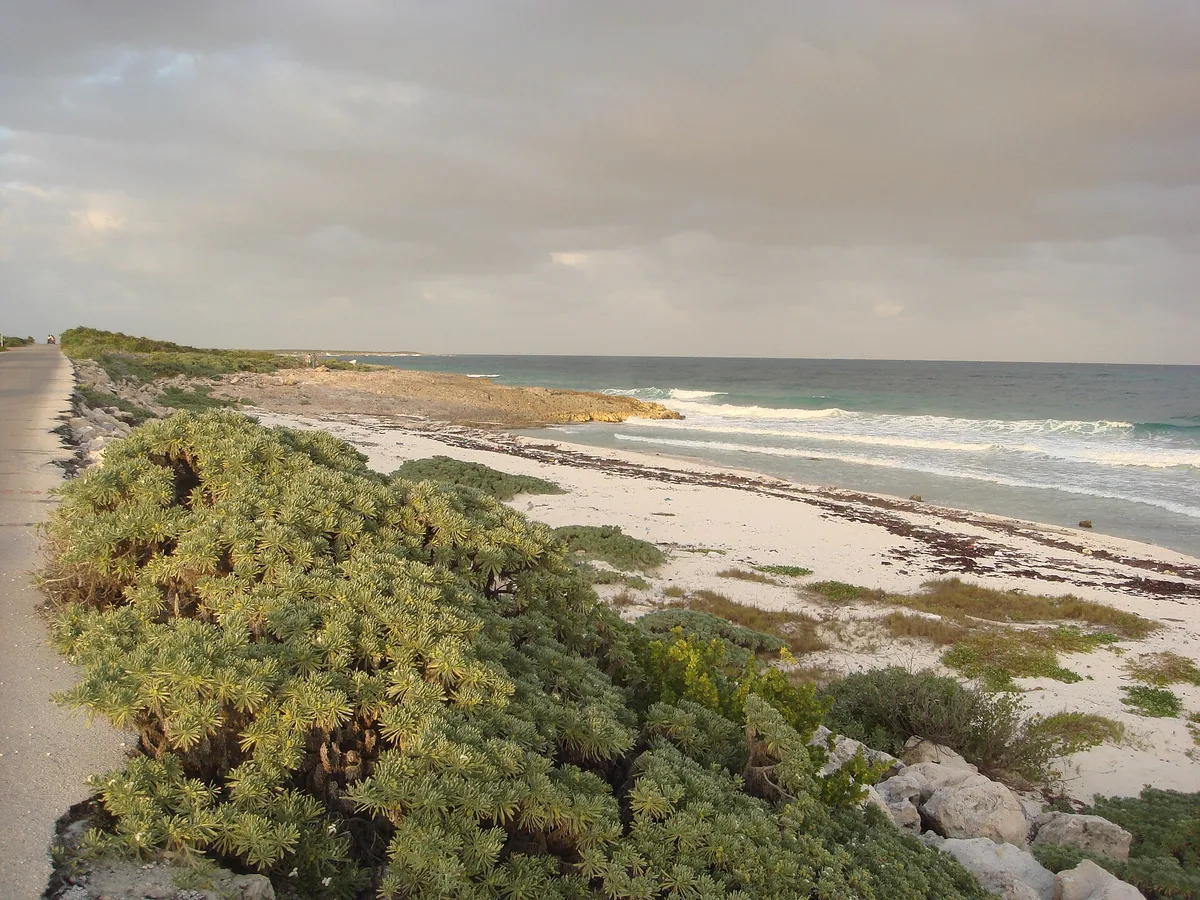 Plage de Punta Chiqueros, San Miguel de Cozumel, Yucatan Islands, Mexique — 5