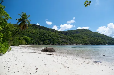 Baie Ternay