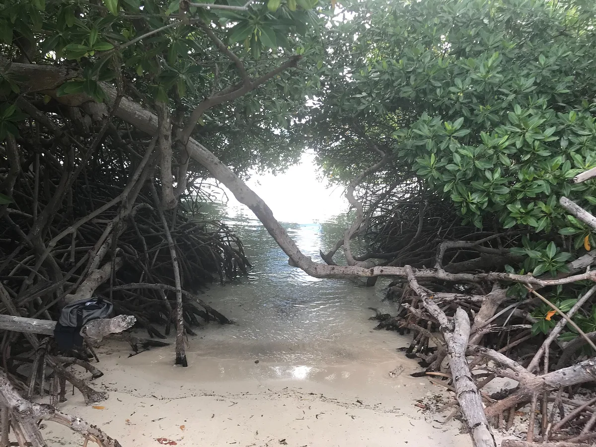 Playa de Mangel Halto, Savaneta, Lesser Antilles, Aruba — 2