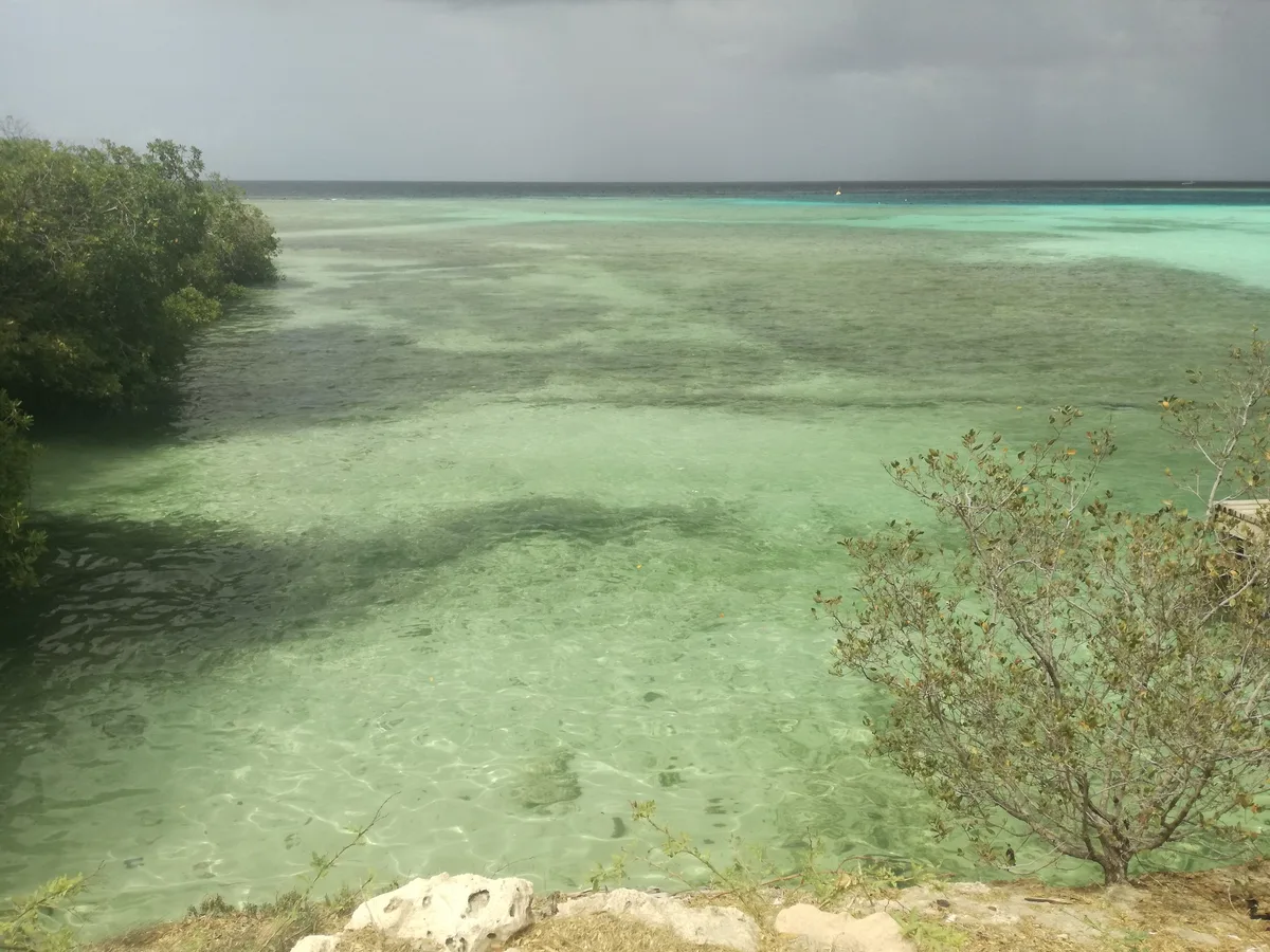 Playa de Mangel Halto, Savaneta, Lesser Antilles, Aruba