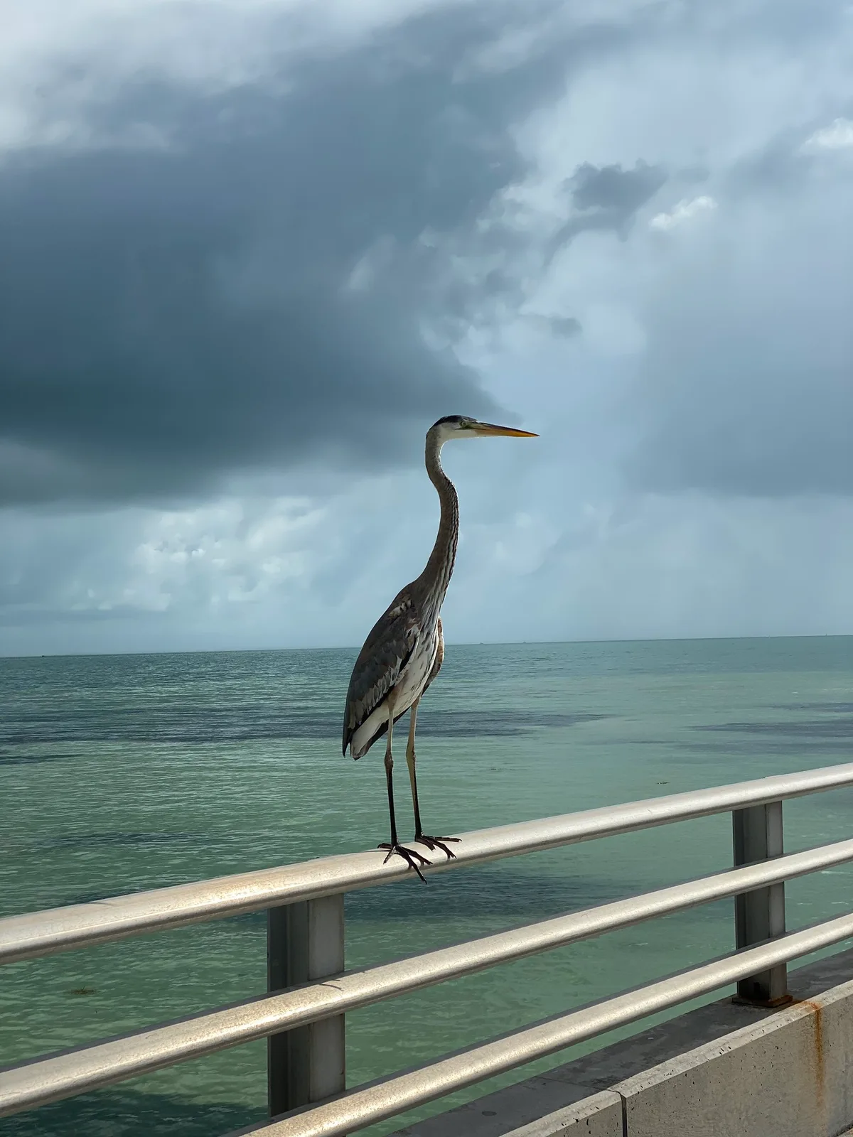 Clarence Ave-Strand, Key West, Florida Keys, Vereinigte Staaten — 5