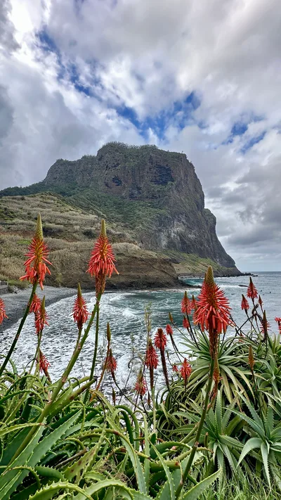 Porto da Cruz Beach, Machico, Madeira Archipelago, Portugal — 3
