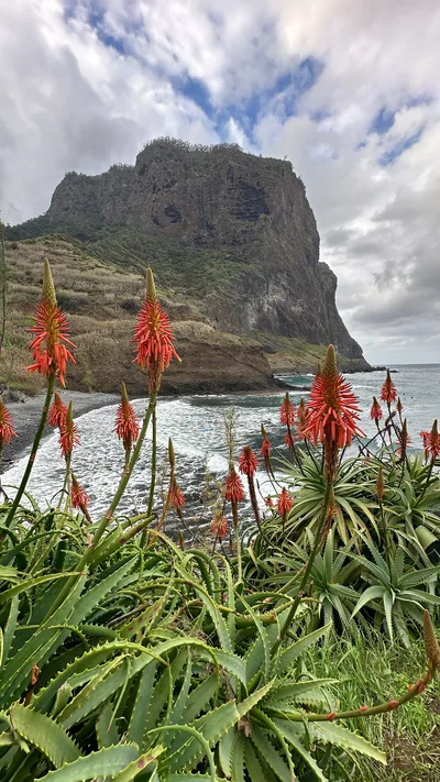 Porto da Cruz Beach, Machico, Madeira Archipelago, Portugal — 4