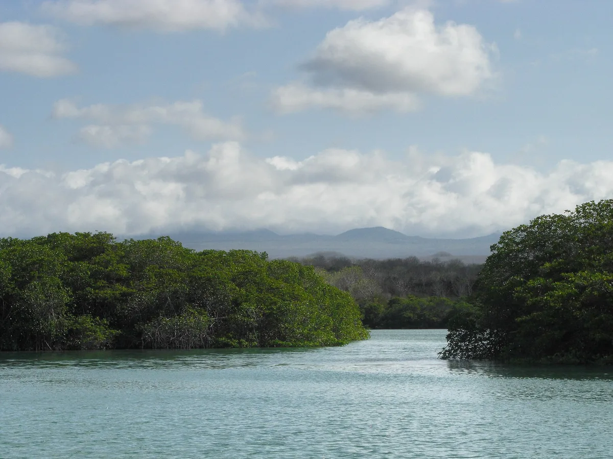 Tortuga Negra Beach, Santa Cruz (north coast), Galápagos, Ecuador — 6