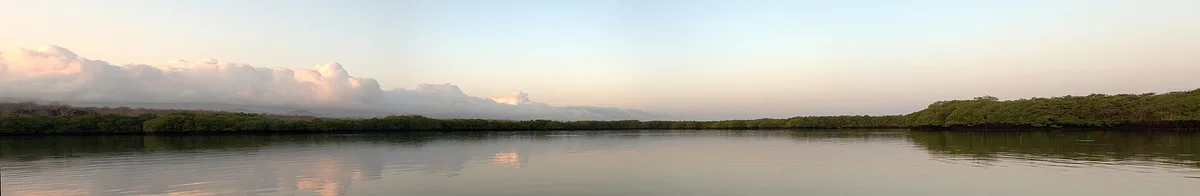 Tortuga Negra Beach, Santa Cruz (north coast), Galápagos, Ecuador — 4