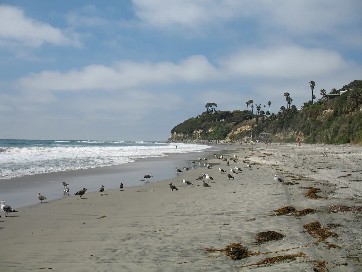 Swami's Beach, Encinitas, California Coast, United States — 3