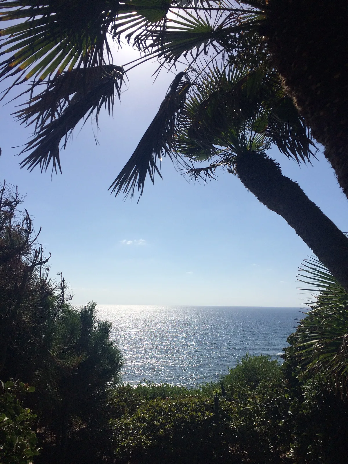 Swami's Beach, Encinitas, California Coast, United States — 2