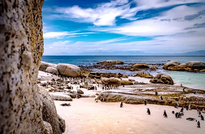 Boulders Beach, City of Cape Town, Western Cape, South Africa — 5