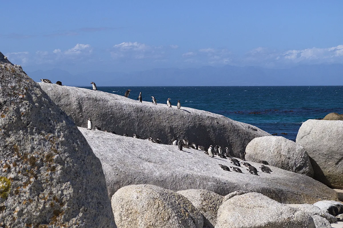 Boulders Beach, City of Cape Town, Western Cape, South Africa — 3