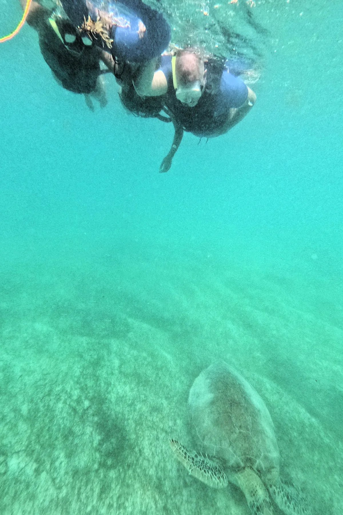 Spiaggia di Akumal, Tulum, Yucatan Caribbean, Messico — 2