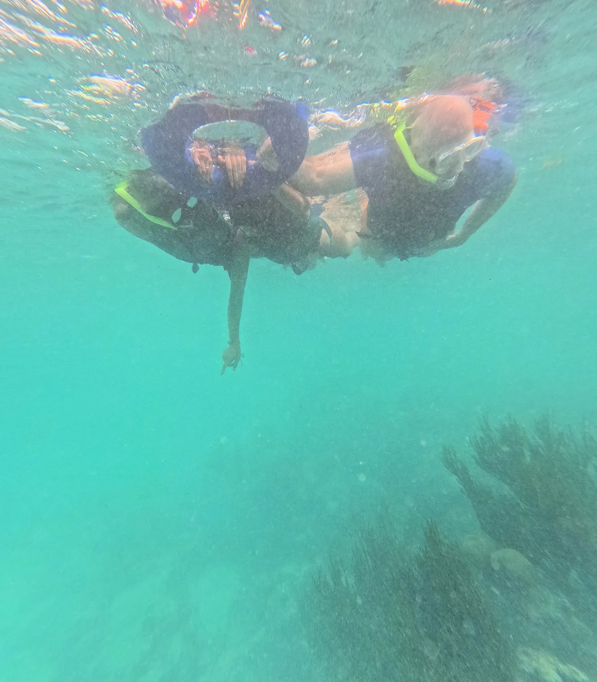 Spiaggia di Akumal, Tulum, Yucatan Caribbean, Messico — 4