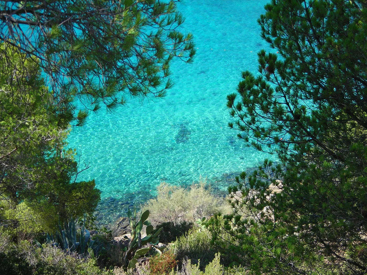 Fetovaia Beach, Campo nell'Elba, Tuscany, Italy