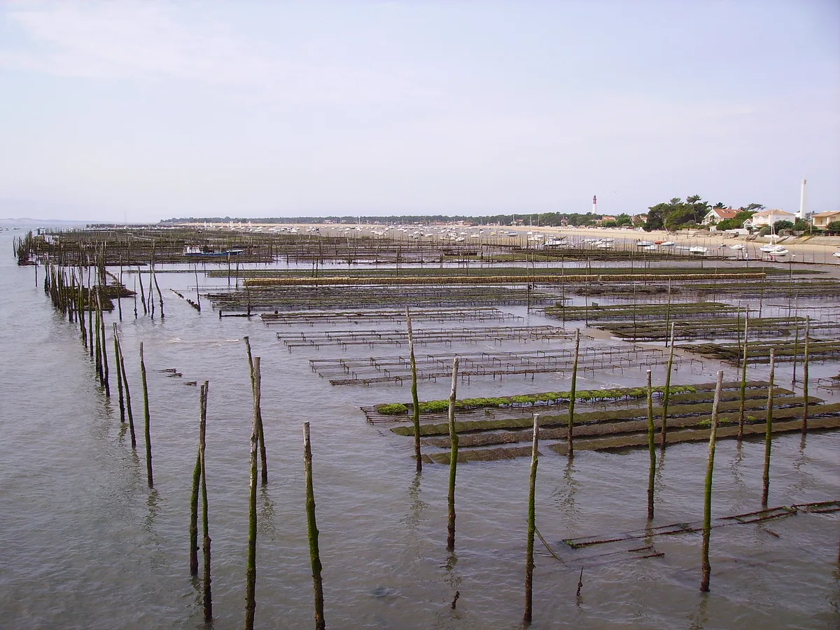 Spiaggia degli Américains, Lège-Cap-Ferret, Nouvelle-Aquitaine, Francia — 6