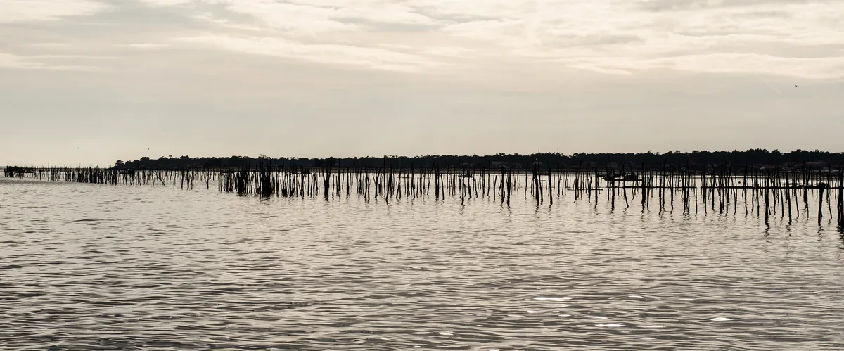Spiaggia degli Américains, Lège-Cap-Ferret, Nouvelle-Aquitaine, Francia — 5