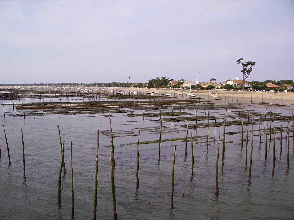 Spiaggia degli Américains, Lège-Cap-Ferret, Nouvelle-Aquitaine, Francia — 2