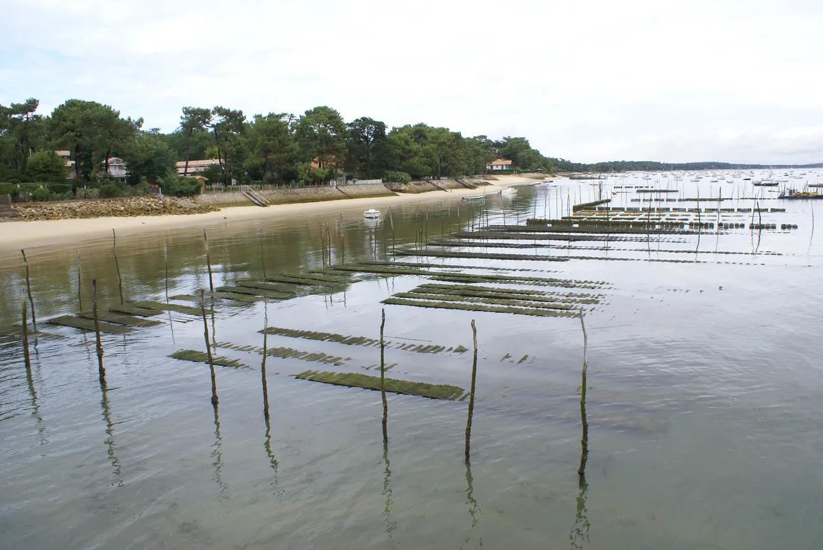 Spiaggia degli Américains, Lège-Cap-Ferret, Nouvelle-Aquitaine, Francia — 4