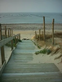 Guérinière Beach, La Guérinière, Pays de la Loire, France — 4