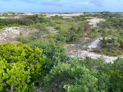 Sandy Neck Beach