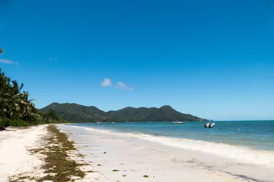 Grand Anse Beach