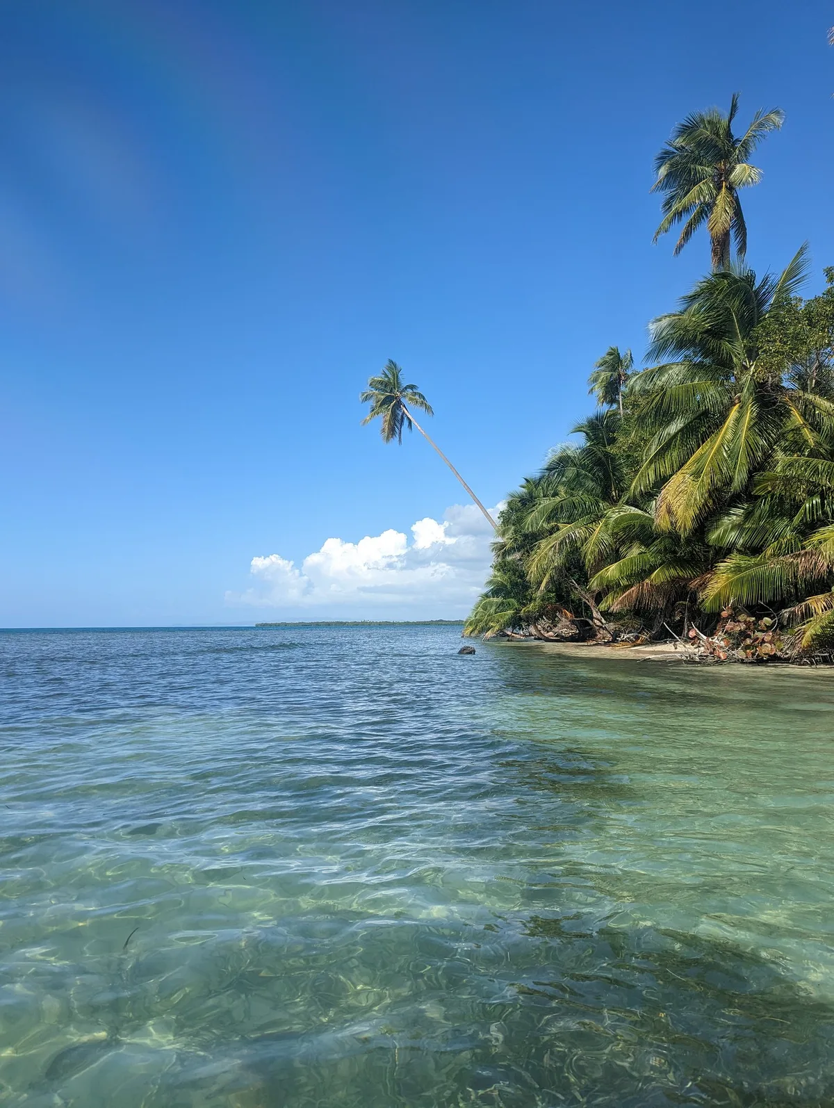 Buyé Beach, Cabo Rojo, Greater Antilles, Puerto Rico — 4