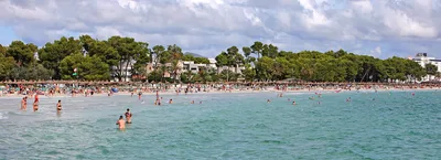 Alcúdia Beach