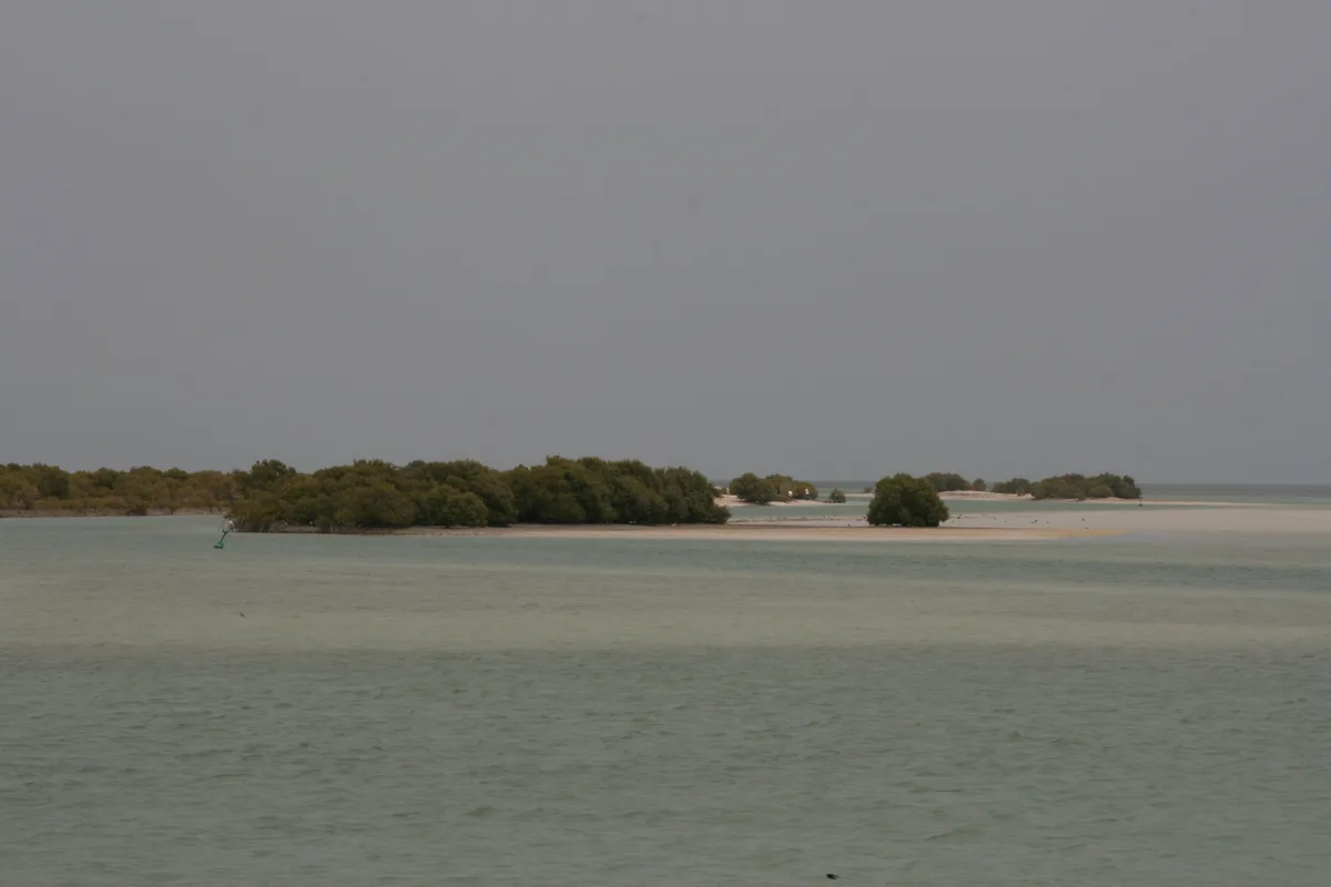 Al Thakhira Beach, Al Dhakhira, Persian Gulf, Qatar