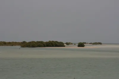 Playa de Al Thakhira
