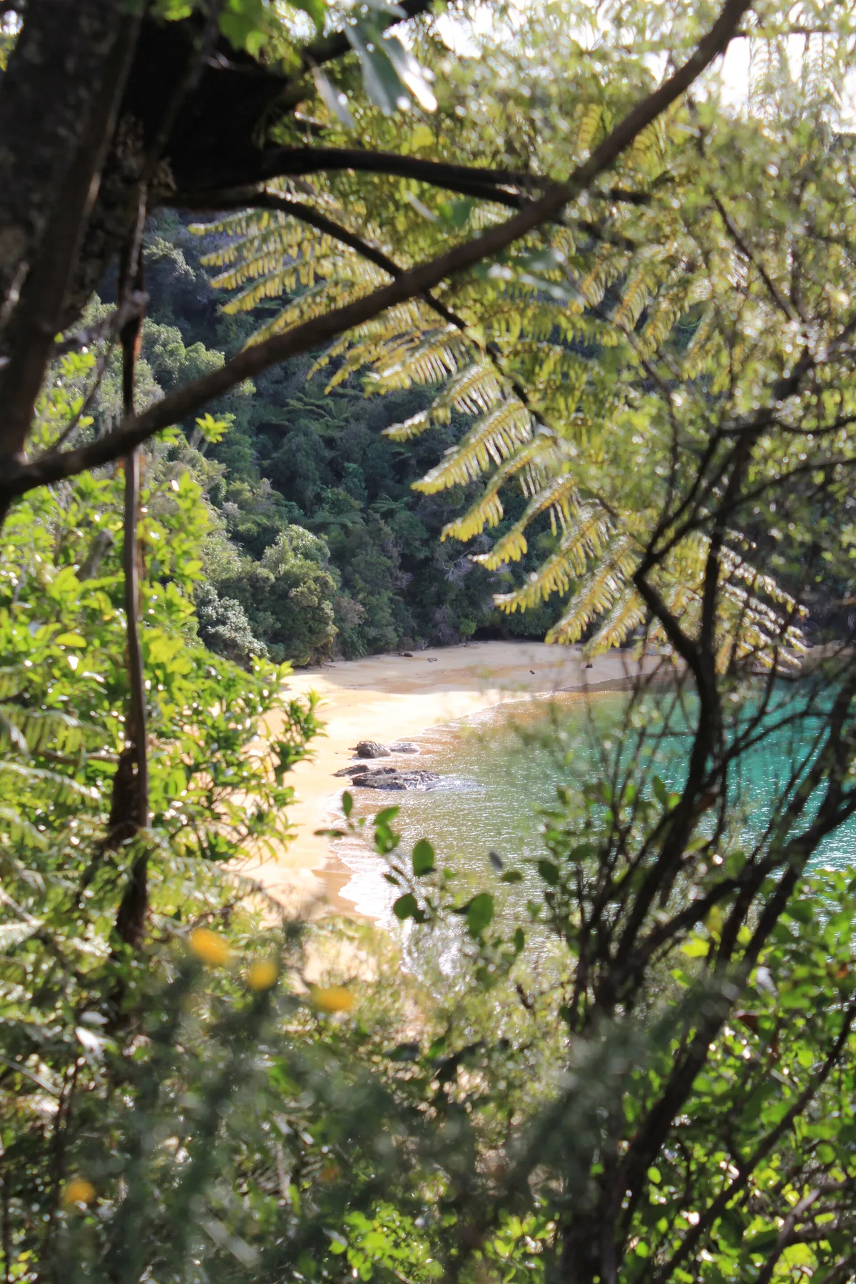 Te Pukatea Beach, Tasman District, Nelson-Tasman, New Zealand — 4