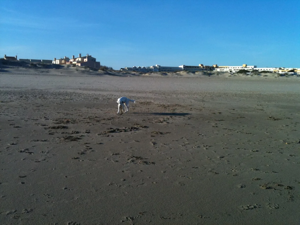 Playa de la Roquille, Agde, Occitanie, Francia — 4