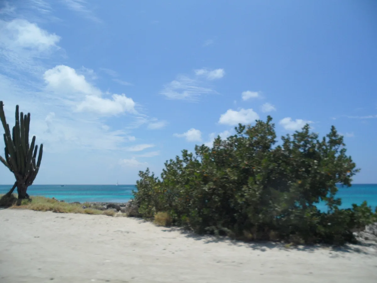 Malmok Beach, Noord, Lesser Antilles, Aruba — 4
