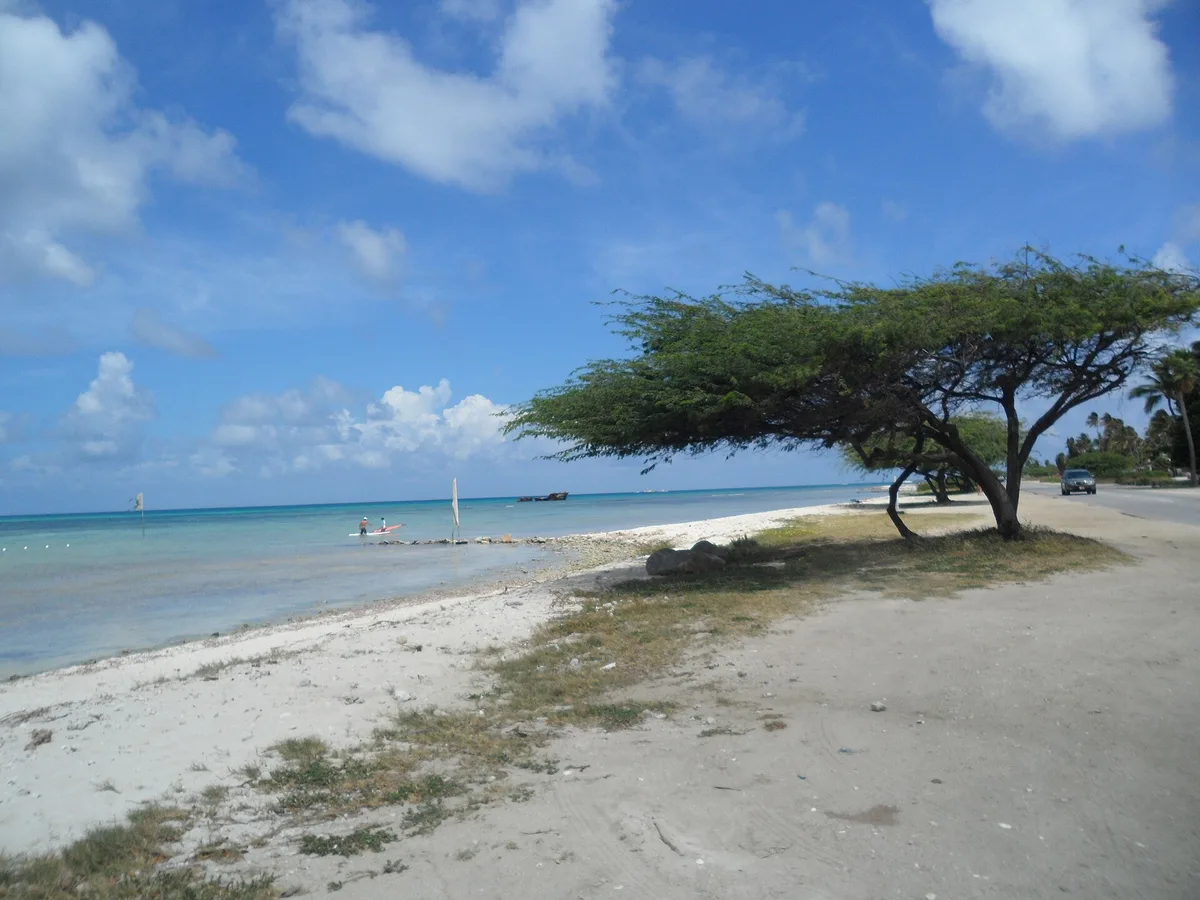 Malmok Beach, Noord, Lesser Antilles, Aruba — 3