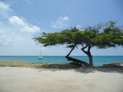 Malmok Beach