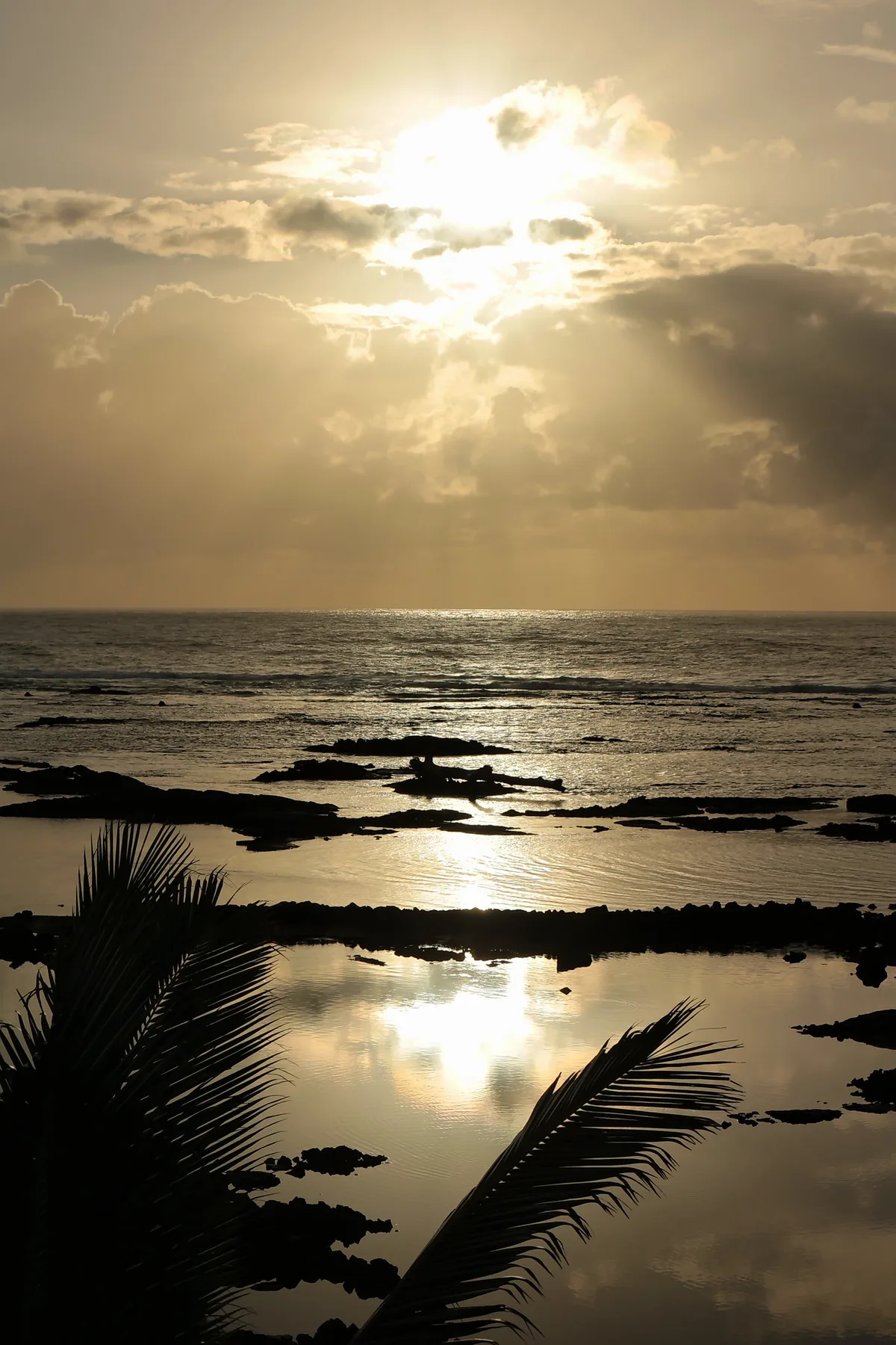 Kapoho Tide Pools, Puna, Hawaii, United States — 3