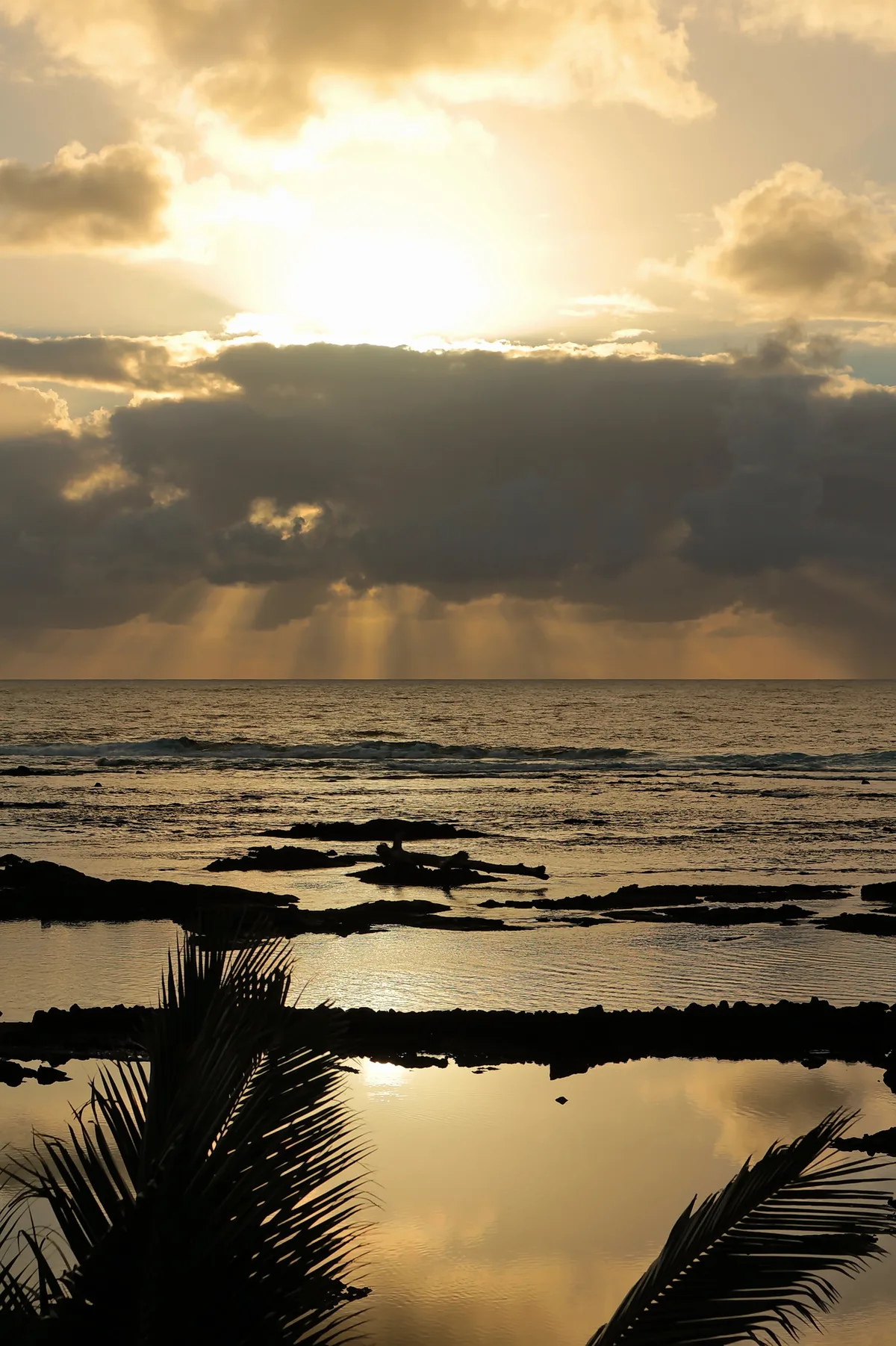 Kapoho Tide Pools, Puna, Hawaii, United States — 2