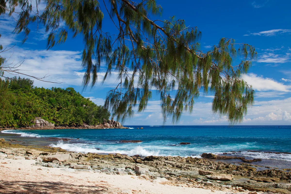 Anse Petit Police Beach, Takamaka, Seychelles Inner Islands, Seychelles — 6
