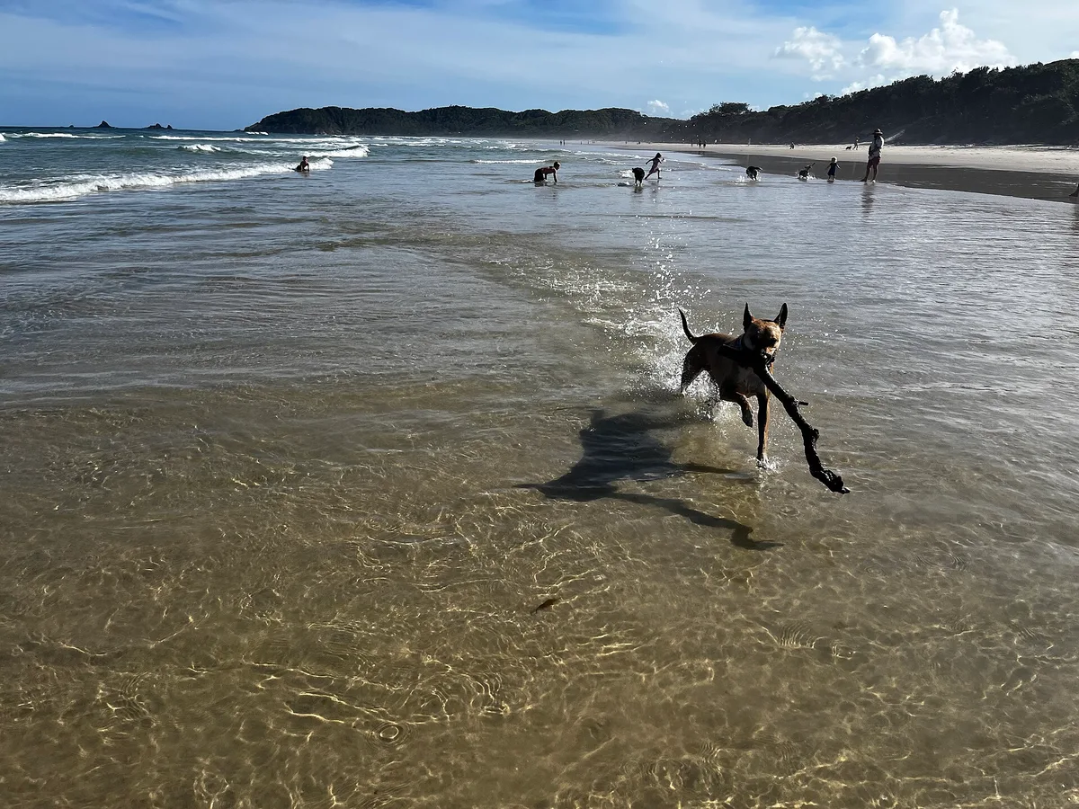 Suffolk Park Beach, Suffolk Park, Australian East Coast, Australia — 5